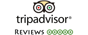 trip advisor reviews